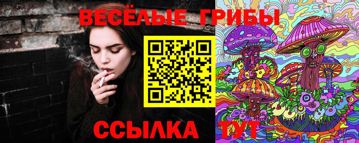 Псилоцибиновые грибы MAGIC MUSHROOMS  Вход с VPN  Реж  Галлюциногенные грибы ЛСД 